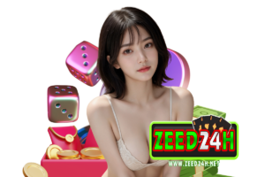 zeed24h login
